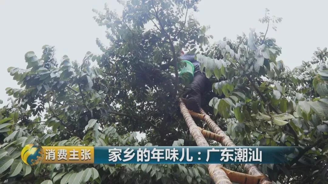 福建潮汕地区美食_福建美食潮汕地区图片_福建美食潮汕地区介绍