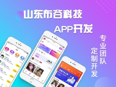 微信小程序开发,软件定制系统开发,APP源码开发