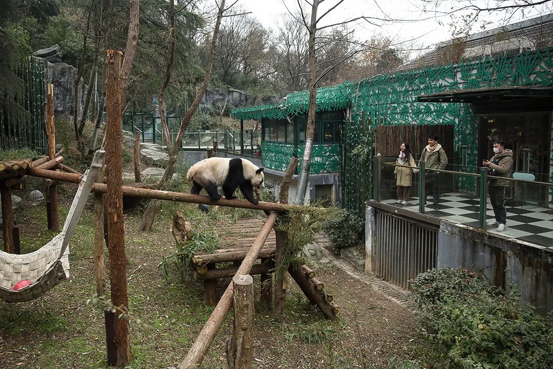 趣味乐生活动物园_动物园趣事作文300字_趣味动物园作文